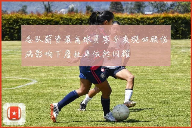 各队薪资最高球员赛季表现回顾伤病影响下詹杜库依然闪耀